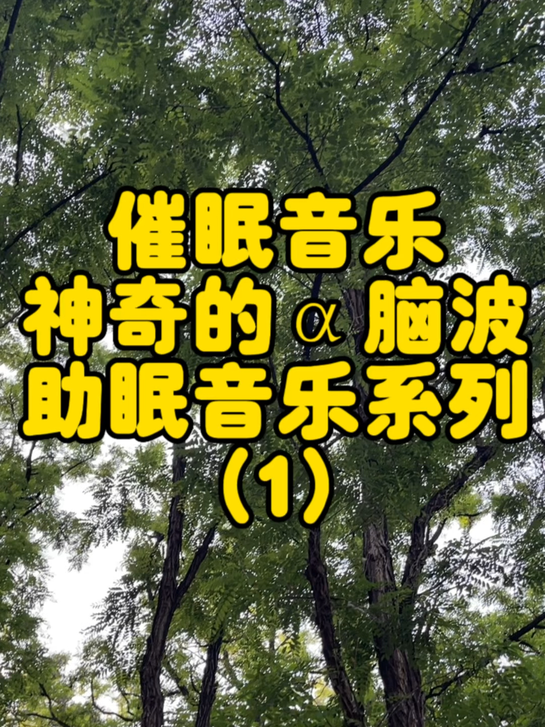 最新催眠曲，引领梦境的神奇旋律