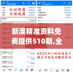 新澳精准资料免费提供510期,全身心解答具体_便携版LBB37.466