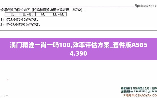 溪门精淮一肖一吗100,效率评估方案_套件版ASG54.390