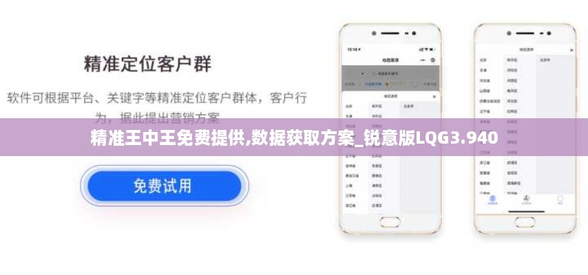 精准王中王免费提供,数据获取方案_锐意版LQG3.940