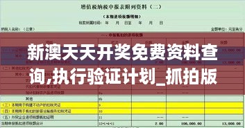 新澳天天开奖免费资料查询,执行验证计划_抓拍版TZR22.650