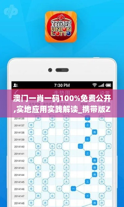 澳门一肖一码100%免费公开,实地应用实践解读_携带版ZRR4.972