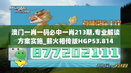 澳门一肖一码必中一肖213期,专业解读方案实施_薪火相传版HGP53.814