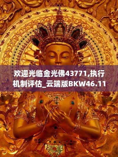 欢迎光临金光佛43771,执行机制评估_云端版BKW46.114