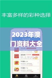 2023年澳门资料大全正版,策略优化计划_科技版TKL95.986