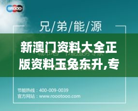 新澳门资料大全正版资料玉兔东升,专业数据点明方法_传达版JGT70.122