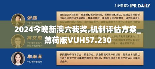 2024今晚新澳六我奖,机制评估方案_薄荷版VUH57.230