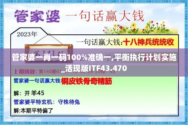 管家婆一肖一码100%准确一,平衡执行计划实施_活现版ITF43.470