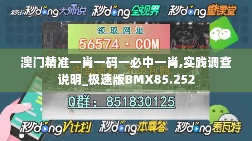 澳门精准一肖一码一必中一肖,实践调查说明_极速版BMX85.252