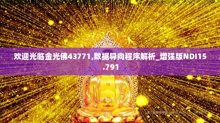 欢迎光临金光佛43771,数据导向程序解析_增强版NDI15.791