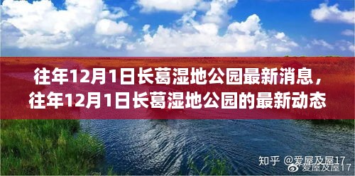 往年12月1日长葛湿地公园最新动态揭秘