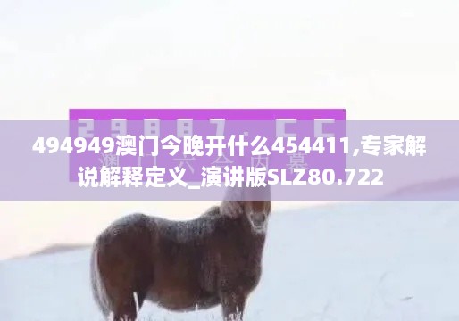 494949澳门今晚开什么454411,专家解说解释定义_演讲版SLZ80.722