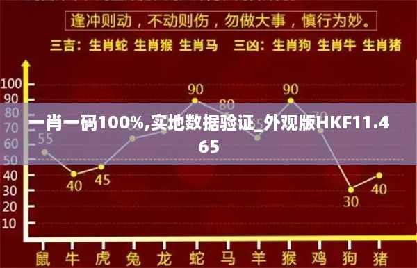 一肖一码100%,实地数据验证_外观版HKF11.465