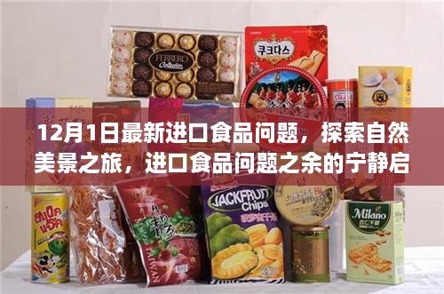 进口食品问题与自然美景启示，探索宁静与自然的和谐之旅