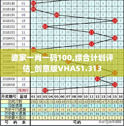 婆家一肖一码100,综合计划评估_创意版VHA51.313