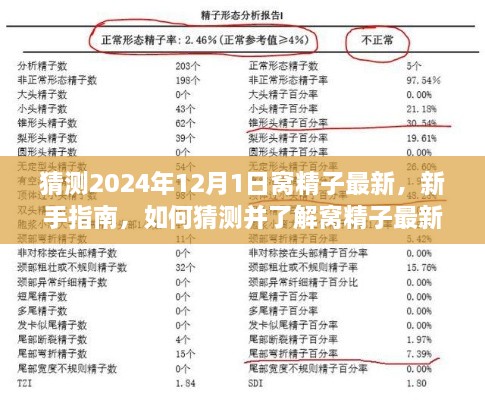 2024年窝精子最新动态猜测与新手指南