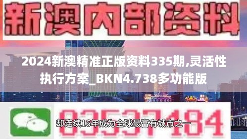 2024新澳精准正版资料335期,灵活性执行方案_BKN4.738多功能版