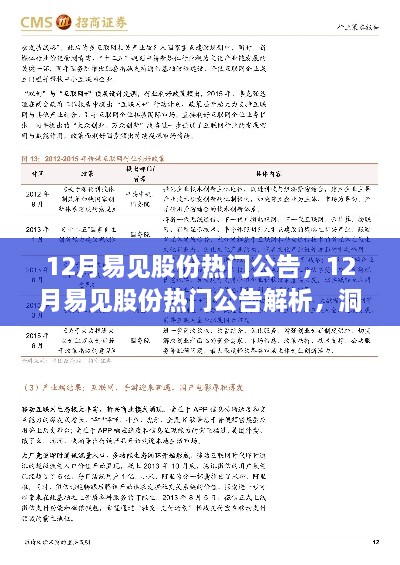 洞悉易见股份未来动向，热门公告解析与预测新动向