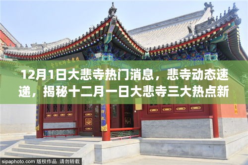 揭秘大悲寺十二月一日三大热点新闻动态速递