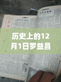 2024年12月 第972页