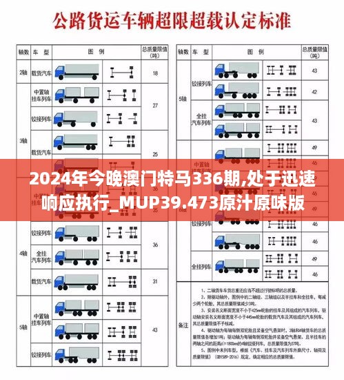 2024年今晚澳门特马336期,处于迅速响应执行_MUP39.473原汁原味版