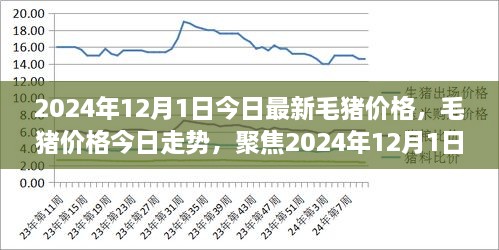 行业变革聚焦