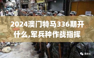 2024澳门特马336期开什么,军兵种作战指挥_CDR84.620分析版