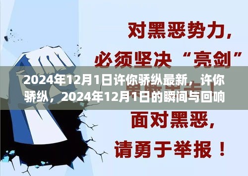 许你骄纵，2024年12月1日的瞬间与回响