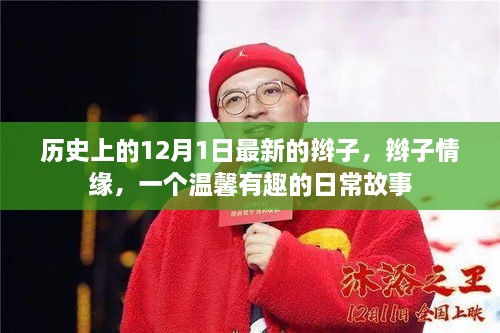 辫子情缘，12月1日的温馨日常故事