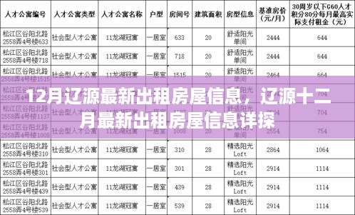 辽源最新出租房屋信息深度解析，十二月房源详探