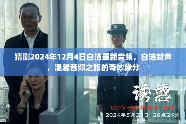 2024年12月4日白洁最新音频揭秘，新声缘奇妙相遇，温馨音频之旅启程