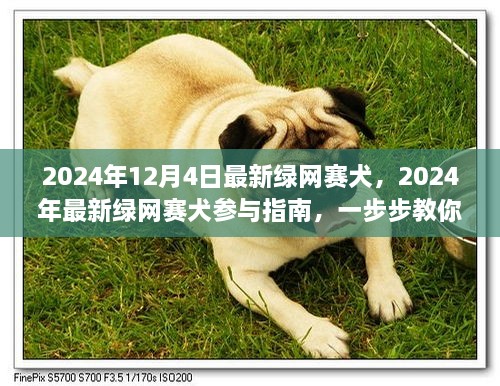 最新绿网赛犬参与指南，教你如何完成赛犬任务，迎接挑战！