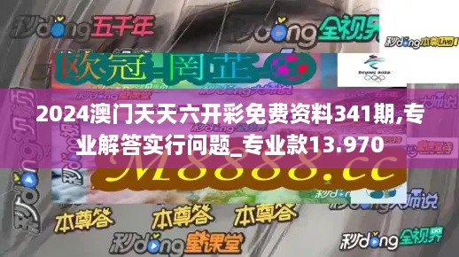 2024澳门天天六开彩免费资料341期,专业解答实行问题_专业款13.970