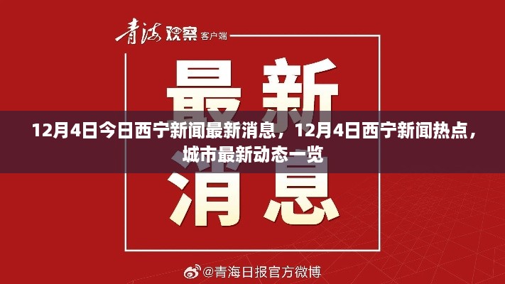 12月4日西宁新闻快报，城市最新动态与热点一览