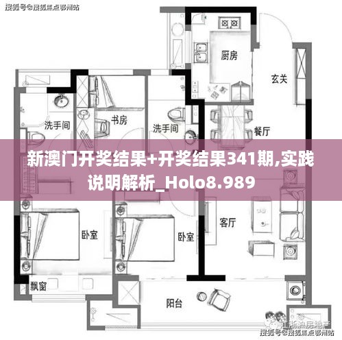 新澳门开奖结果+开奖结果341期,实践说明解析_Holo8.989