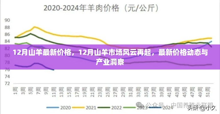 12月山羊最新价格，12月山羊市场风云再起，最新价格动态与产业洞察