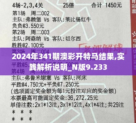 2024年341期澳彩开特马结果,实践解析说明_N版9.233