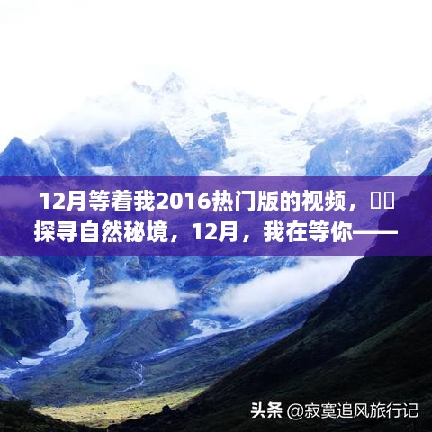 探寻自然秘境，心灵之旅的12月等我热门版旅行视频