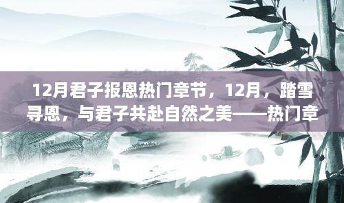 12月君子报恩之旅，踏雪寻恩，共赴自然之美的宁静与喜悦