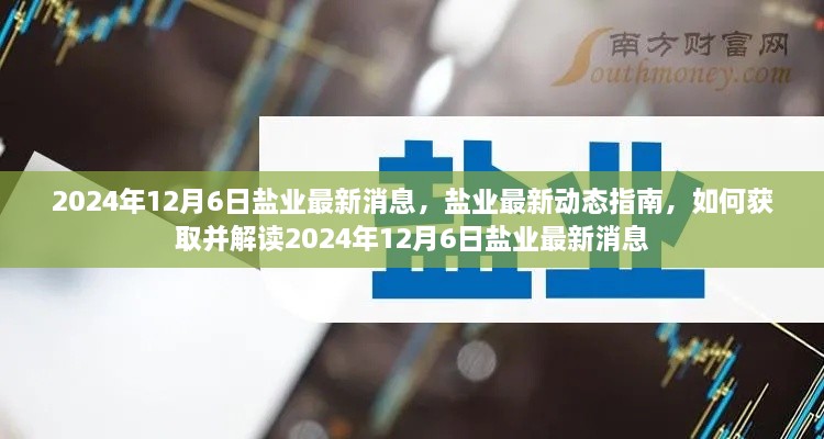 盐业动态更新，解读2024年12月6日最新消息与趋势指南