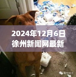 徐州新闻网独家报道，与萌犬共探自然秘境的心灵之旅（最新消息）