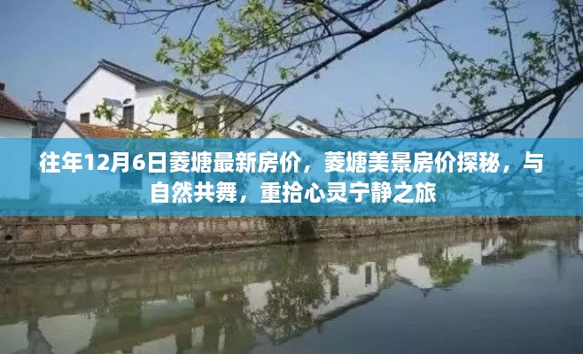 菱塘美景房价探秘，与自然共舞的心灵宁静之旅（最新房价报告）