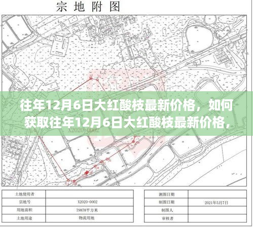 往年12月6日大红酸枝最新价格详解，获取步骤指南与价格分析