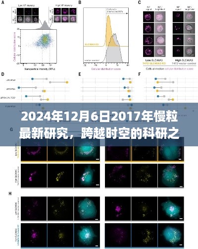 跨越时空的科研探索，慢粒研究新进展与未来展望，学习变化成就梦想之路