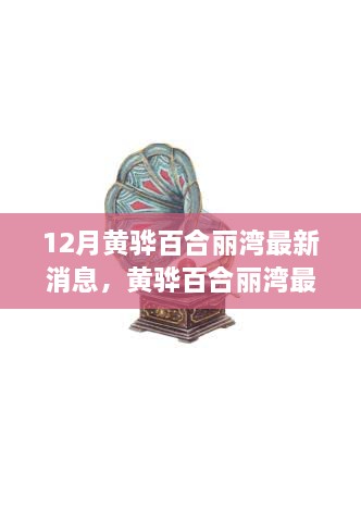 12月黄骅百合丽湾最新动态与瞩目亮点解析