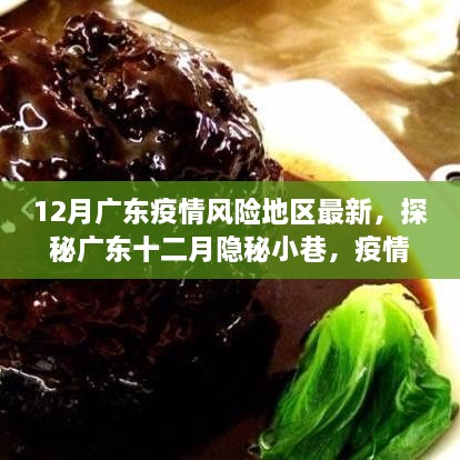 广东疫情风险地区最新动态与隐秘美食宝藏，十二月探秘疫情之下的意外美味