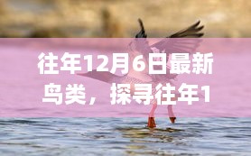 揭秘往年12月6日最新鸟类发现，一场关于发现的热议