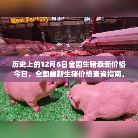 生猪最新价格查询指南与深度解析