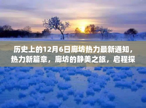 探索自然秘境之旅