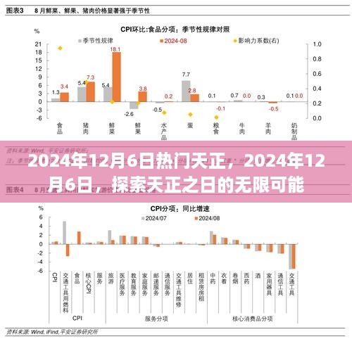 探索天正之日的无限可能——2024年12月6日热门天正